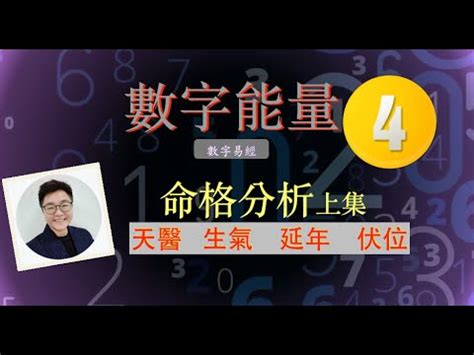 天醫 生氣 延年|【天醫 延年 生氣】解鎖你的數字運勢：天醫、延年、生氣號碼全。